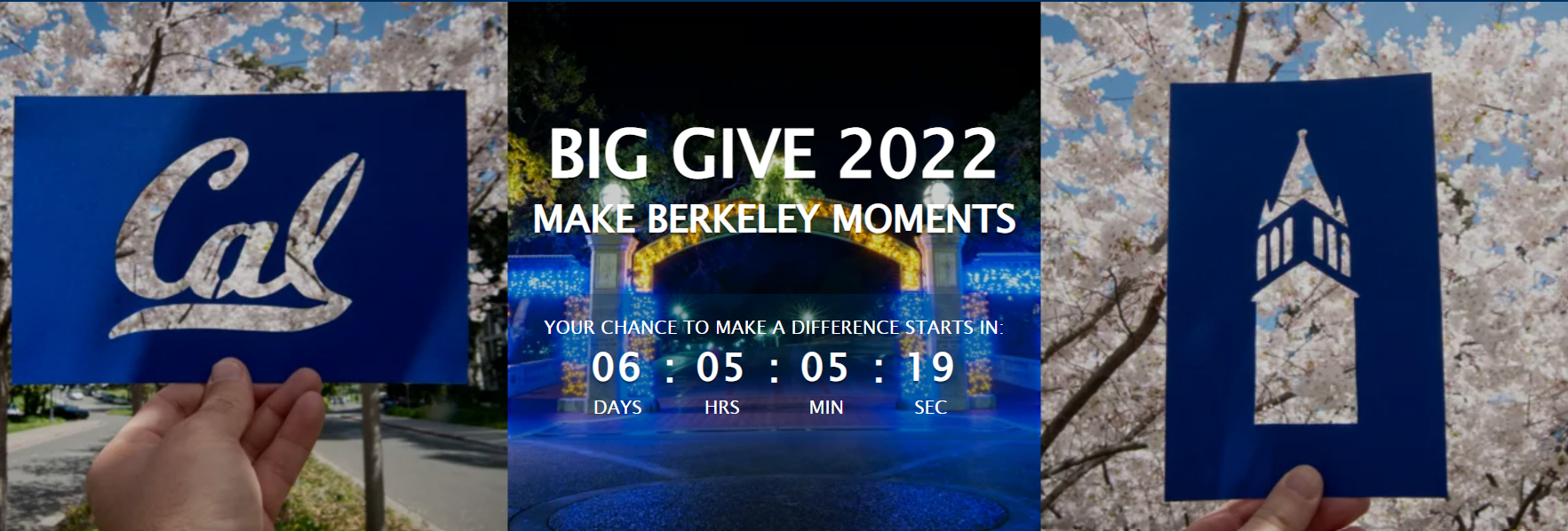 Big Give countdown graphic from website