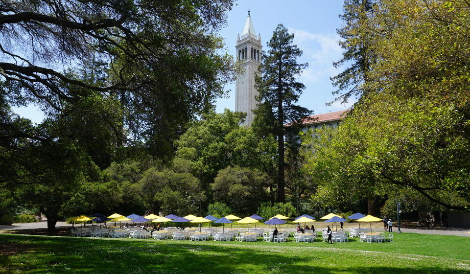 One IT Picnic on the Faculty Memorial Glade in Berkeley, CA