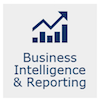 Business Intelligence & Reporting icon