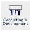 Consulting & Development icon