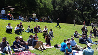 photo of One IT picnic 2014