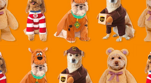 Dogs dressed up in costumes ranging from Scooby Doo to UPS delivery person