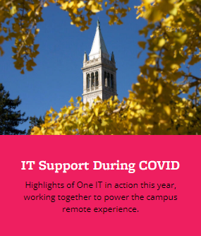 IT Support During COVID graphic