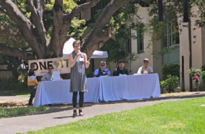 One IT Picnic - Tracy Shinn speaking