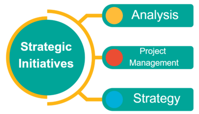 Strategy Infograhic